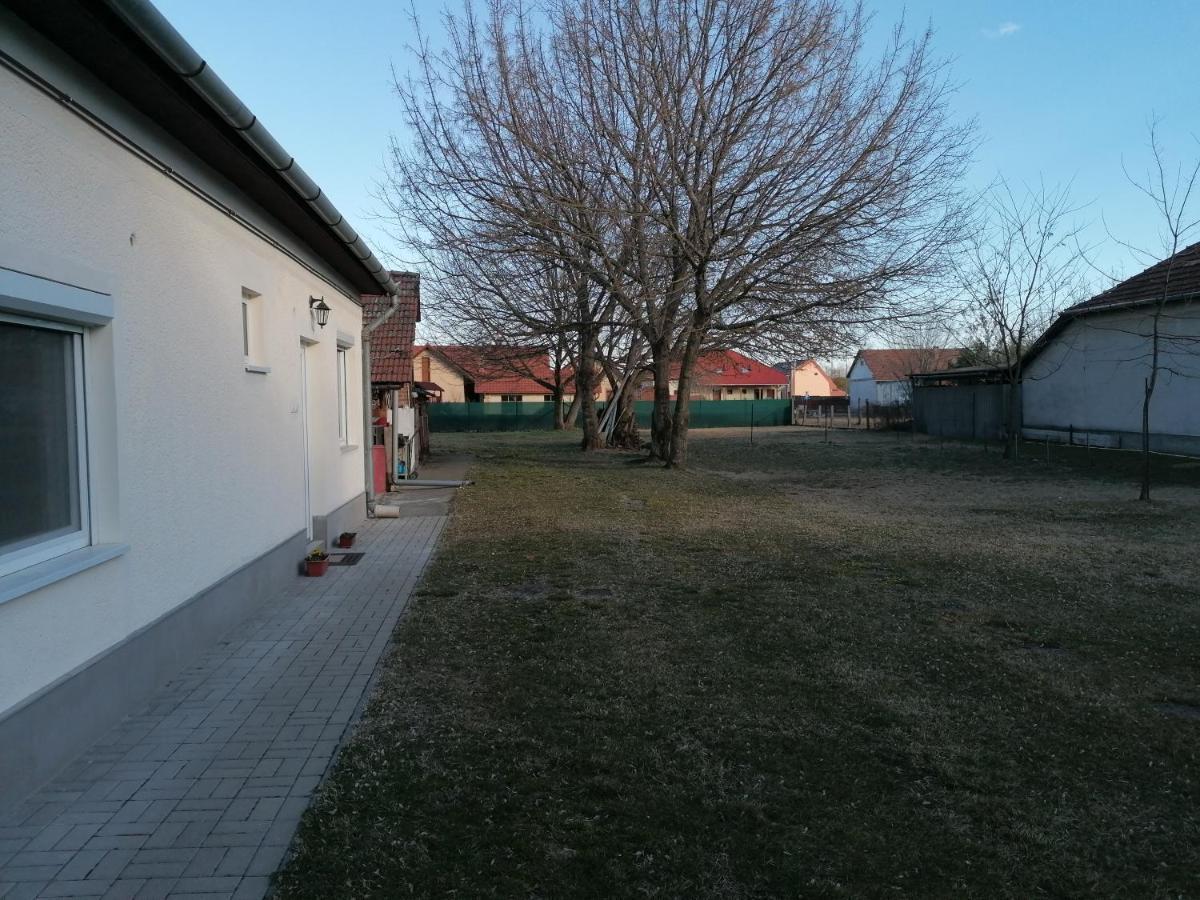 Istvan Vendeghaz Morahalom Luaran gambar